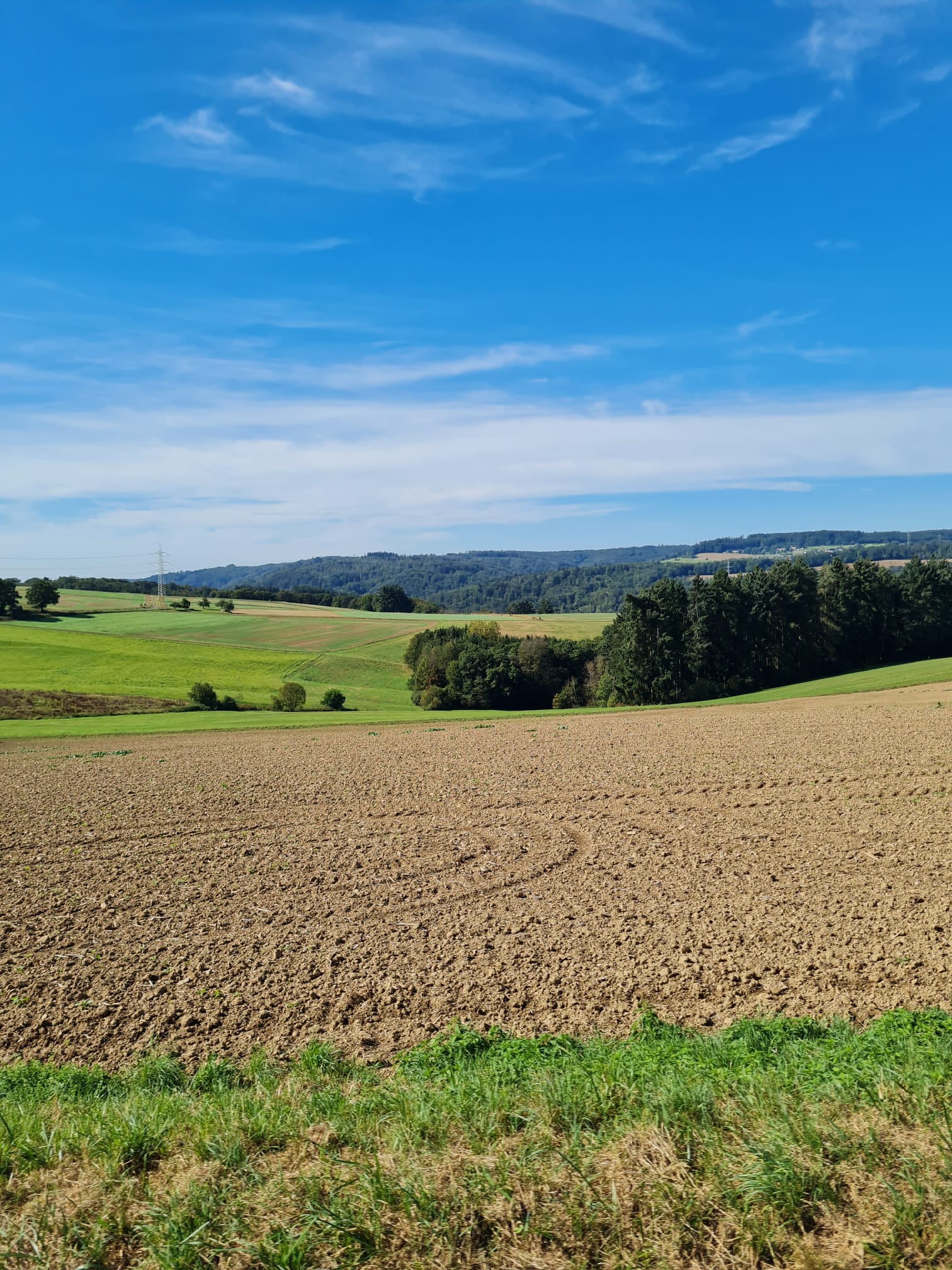 Motorrijder op een bochtige weg in de Eifel
